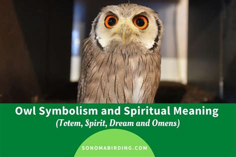 The Mystical Significance of Owls in Varied Cultures