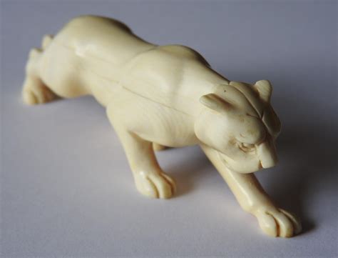 The Mystical Tales Surrounding Infant Ivory Panthers