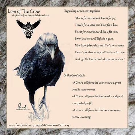 The Mystical and Shamanic Connections of Crow Symbolism