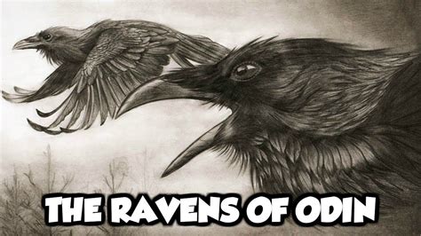 The Mythical Origins of Raven Metamorphosis