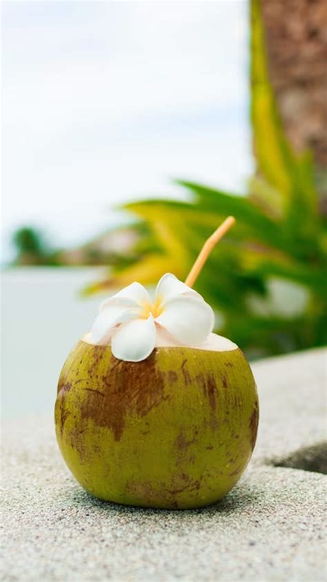 The Natural Electrolyte: Coconut Water for Post-Workout Recovery