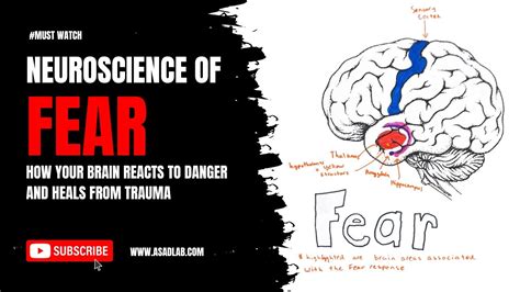 The Neuroscience of Fear: How our Brain Reacts to Exclusion