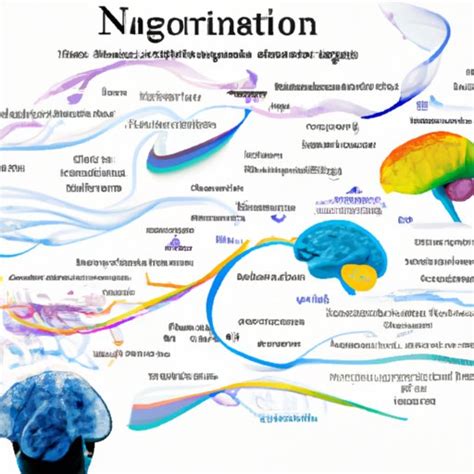 The Neuroscience of Imagination: Exploring the Brain's Creative Potential