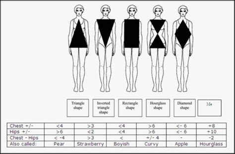 The Number of Years, Vertical Measurement, and Body Shape of Divine Petite