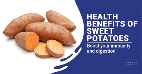 The Numerous Health Benefits of Delectable Ivory Sweet Potatoes