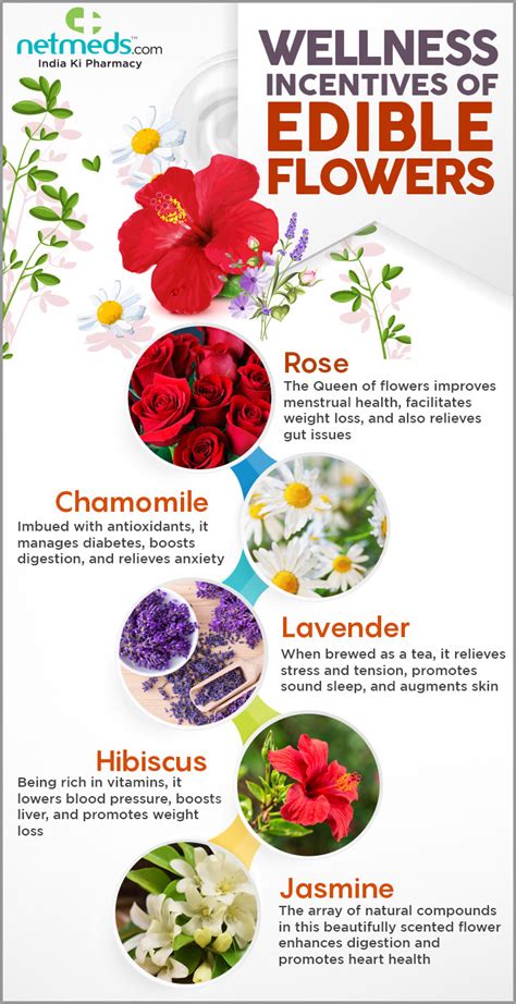 The Nutritional Benefits and Culinary Uses of Consuming Edible Flowers