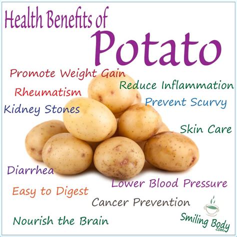 The Nutritional Benefits of Newly Gathered Potatoes: Nourishing the Body