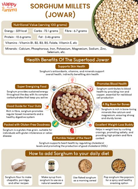 The Nutritional Powerhouse: Understanding the Health Benefits of Sorghum