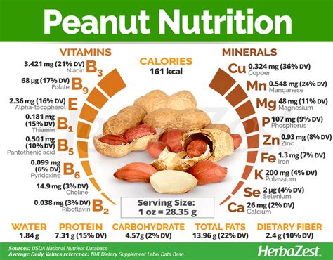 The Nutritional Value of Cooked Groundnut: A Healthy Snack Option