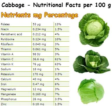 The Nutritional Value of Green Cabbage: Embrace its Healthful Properties as a Dietary Staple