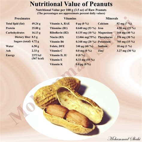 The Nutritional Value of Peanut