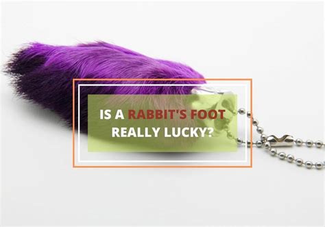 The Origins and Historical Significance of Rabbit Feet as Fortunate Talismans