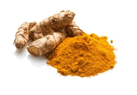 The Origins and History of Turmeric: Exploring its Ancient Roots