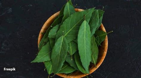 The Origins of Green Curry Leaves: A Fascinating Journey