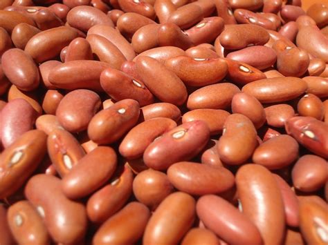 The Origins of Red Beans And Rice: A Culinary Tradition