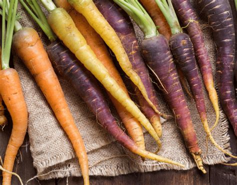 The Pale Carrot: An Enigmatic Source of Vitality