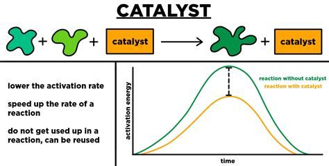 The Panther's Bite as a Catalyst for Transformation and Change