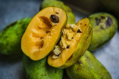 The Pawpaw: A Tropical Fruit with a Distinctive Taste