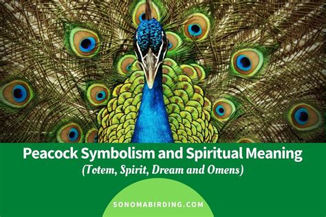 The Peacock's Connection to Spirituality and Mysticism