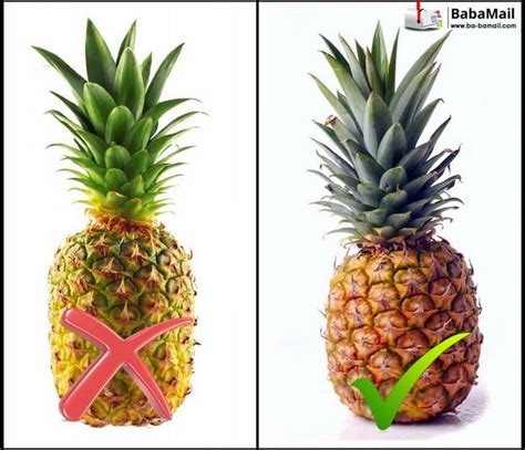 The Perfect Pineapple: A Guide to Choosing the Ripest Fruit