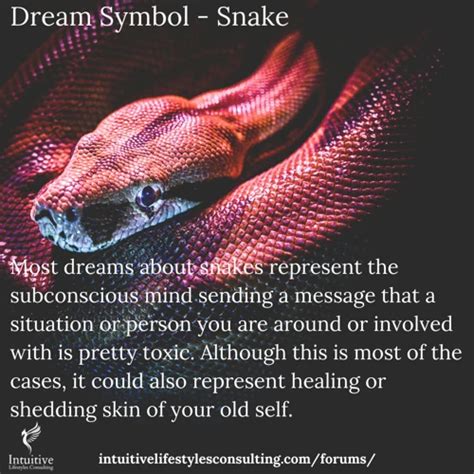 The Pervasive Presence of Serpent Symbolism in Dreams