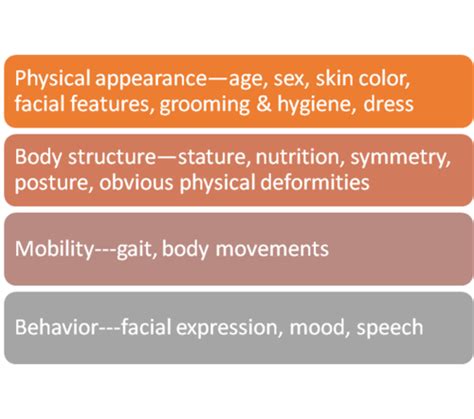 The Physical Appearance and Body Structure of Grace Chow