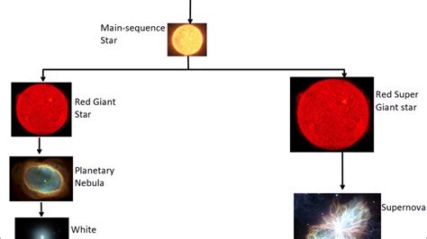 The Physical Evolution of the Hollywood Star