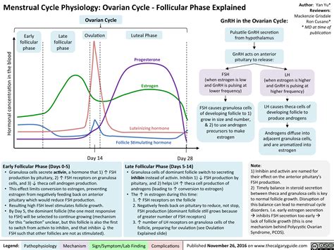 The Physiology of Menstrual Discomfort