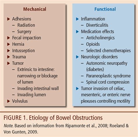 The Physiology of Phlegm Obstruction: Understanding the Underlying Factors