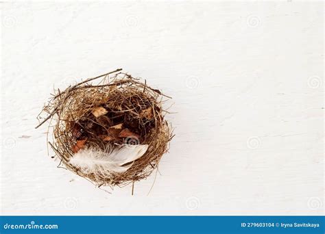 The Pigeon Nest: A Symbol of Hearth and Security