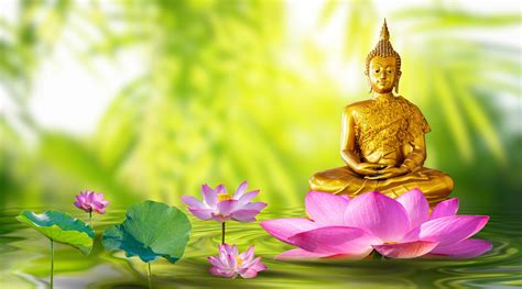 The Pink Lotus Flower in Buddhist Iconography