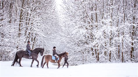 The Pleasures and Trials of Having a Snowy Horse