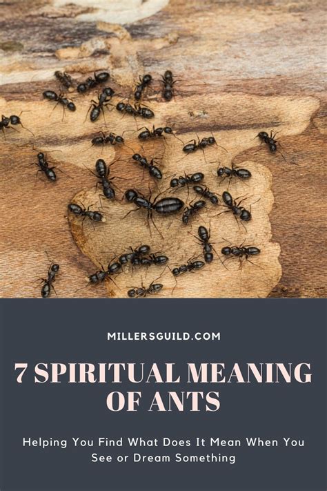 The Possible Meanings of Ants Moving across the Human Form