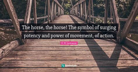 The Potency and Vigor of the Equine Symbol