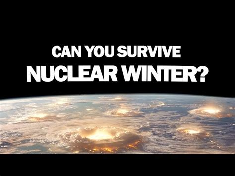 The Potential Consequences of a Nuclear Winter