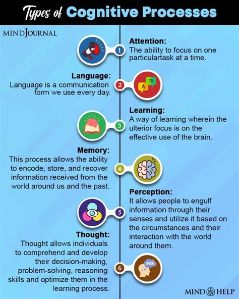 The Potential of Conceptual Cognition