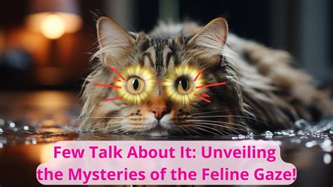 The Power and Mystery of the Enigmatic Feline Gaze