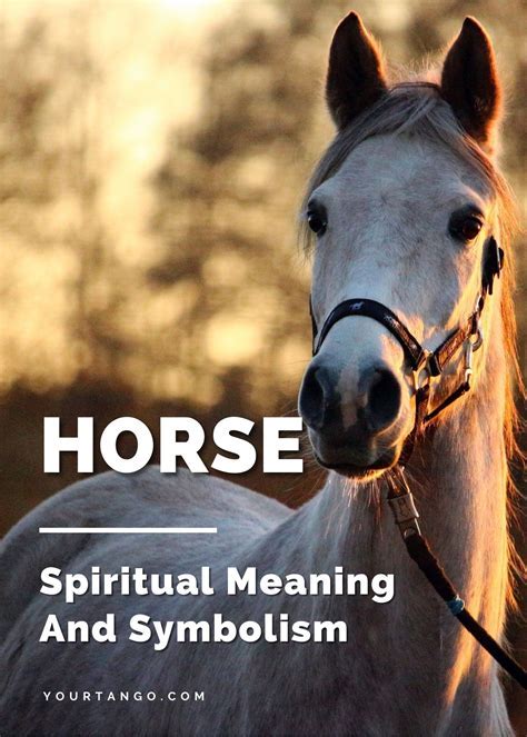 The Power of Equines in Dreams: Unveiling the Significance and Depths