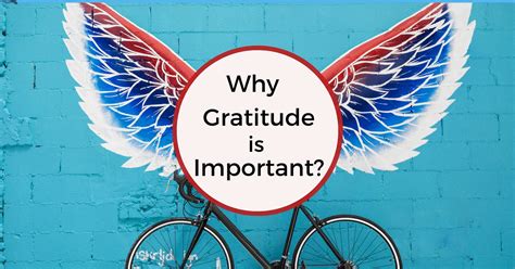 The Power of Gratitude: Why It Holds Significance