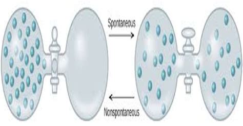 The Power of Metamorphosis: Insights from a Spontaneous Bursting Appliance