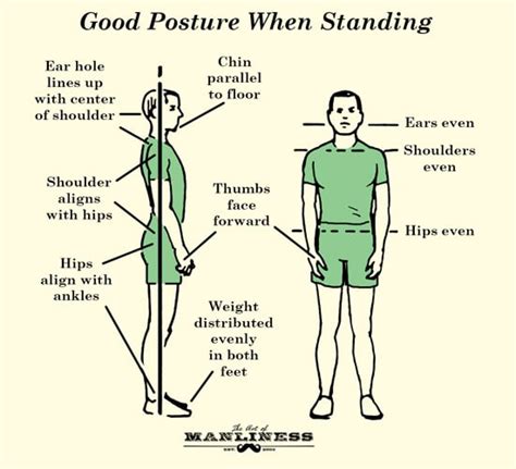 The Power of Posture: Maintaining Good Alignment while Perching on a Perch