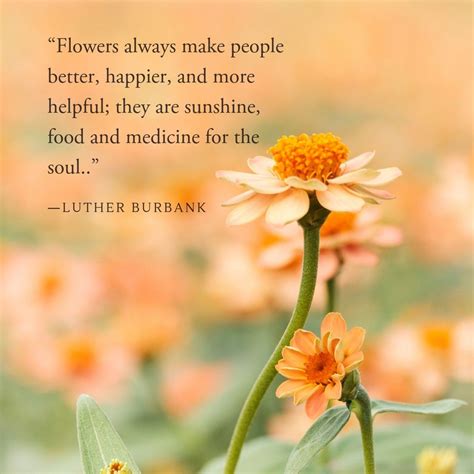 The Power of Receiving Exquisite Blooms: Enveloping Joy, Affection, and Gratitude