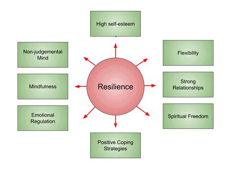 The Power of Resilience: Establishing a Strong Foundation for Mental and Emotional Well-being