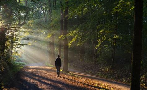 The Power of Solitude: Embracing Moments of Quiet Reflection