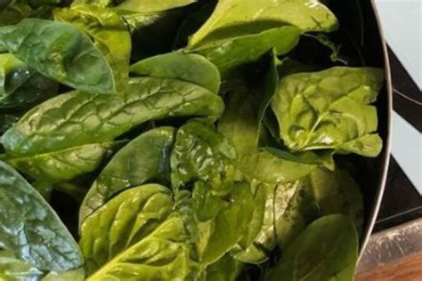 The Power of Spinach: From Popeye to Health Enthusiasts