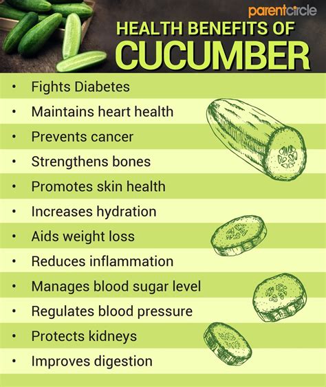 The Powerhouse of Nutrients: Health Benefits of Fresh Cucumbers