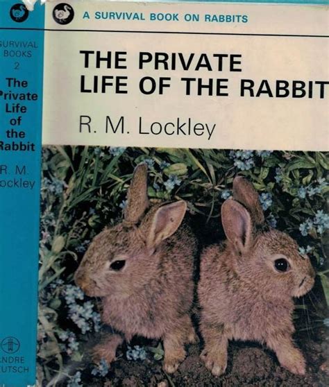 The Private Life of Bunny Buchanan