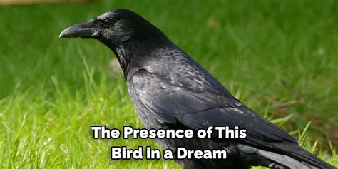 The Probing Journey of Symbolic Significance in Dreaming about a Young Carrion Bird