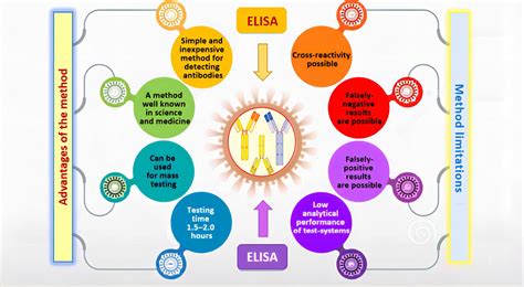 The Professional Path of Elisa Sedlacko