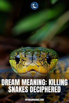 The Profound Influence of Rat Snake Dreams: Deciphering the Hidden Meanings within Your Psyche